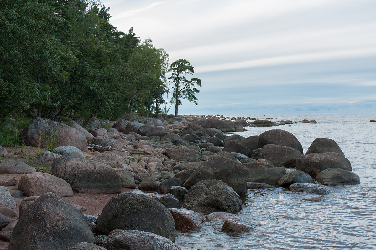Колгомпя, image of landscape/habitat.