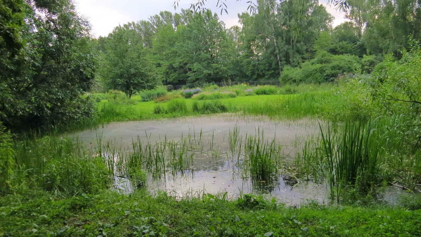 ГБС РАН, image of landscape/habitat.