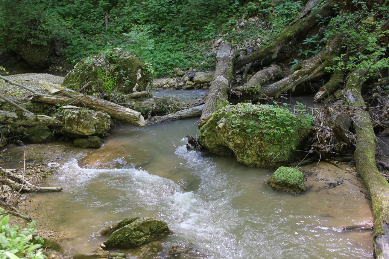 Долина реки Мишоко, image of landscape/habitat.