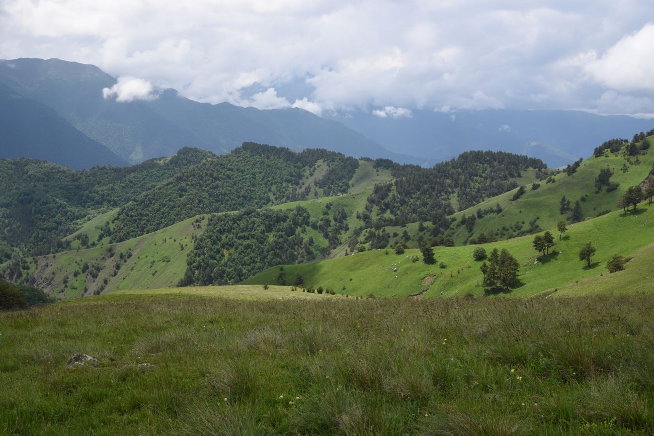 Окрестности урочища Мухул, image of landscape/habitat.