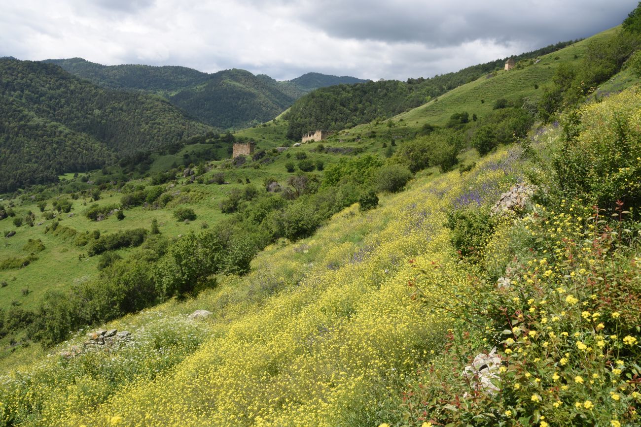 Бархане и окрестности, изображение ландшафта.