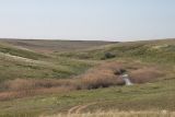 Эльтон, image of landscape/habitat.