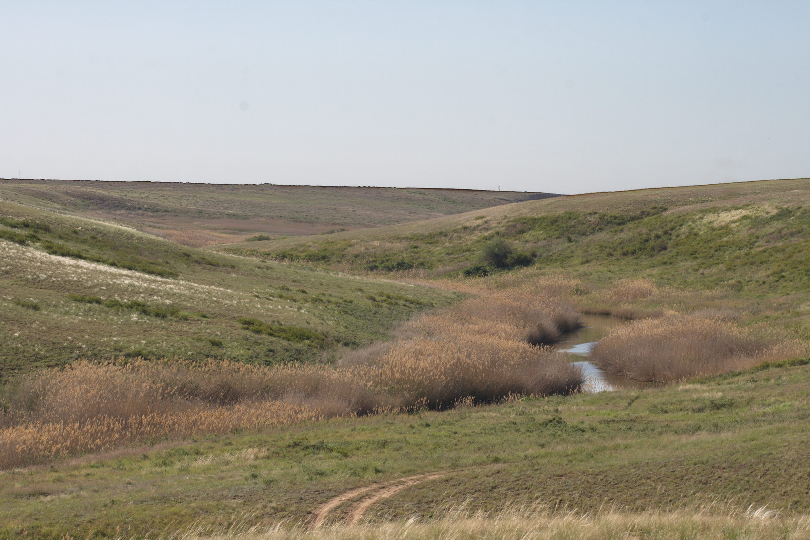 Эльтон, image of landscape/habitat.