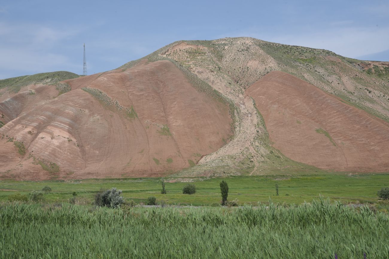 Акчай, image of landscape/habitat.