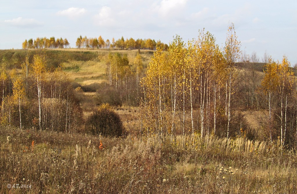 Верховья Каспли, изображение ландшафта.