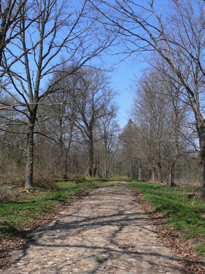 Матвейково, image of landscape/habitat.