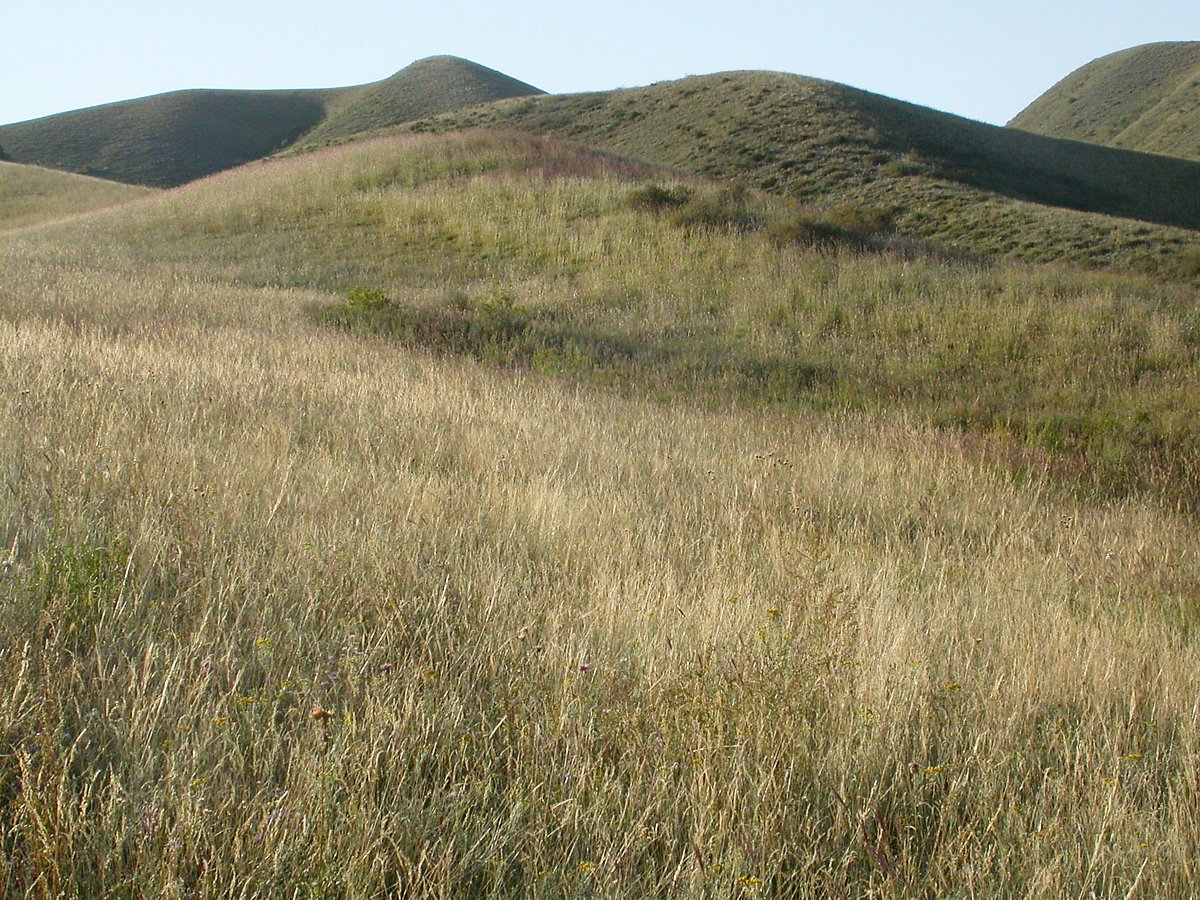 Курганы в казахстане