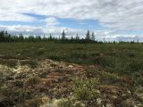 Image of landscape