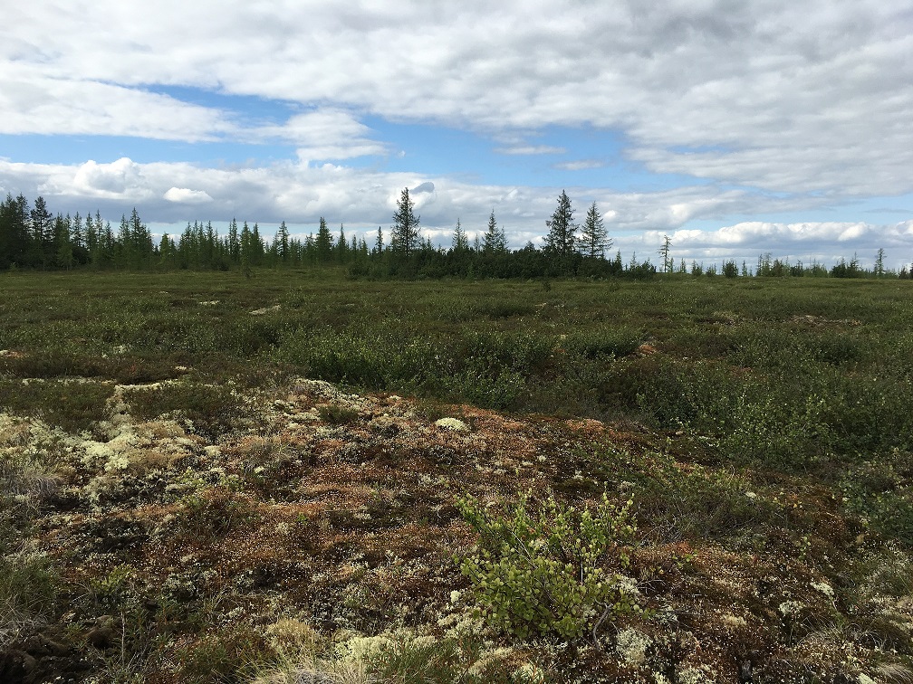 Теплое, image of landscape/habitat.