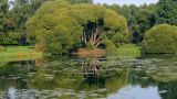 ГБС РАН, image of landscape/habitat.