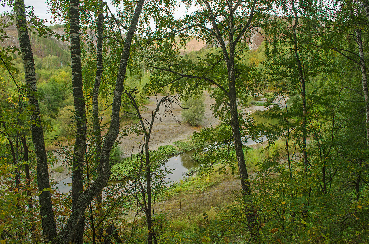 Мурадымовское ущелье, image of landscape/habitat.