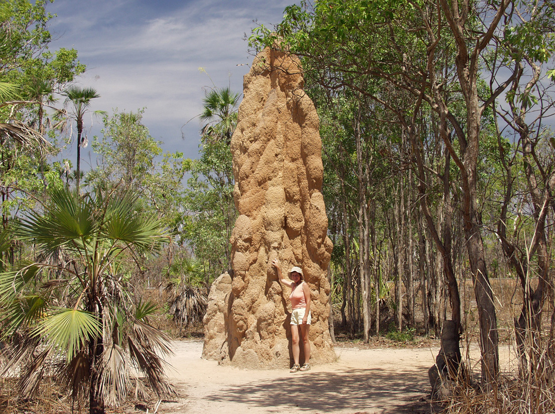 Litchfield Park, image of landscape/habitat.