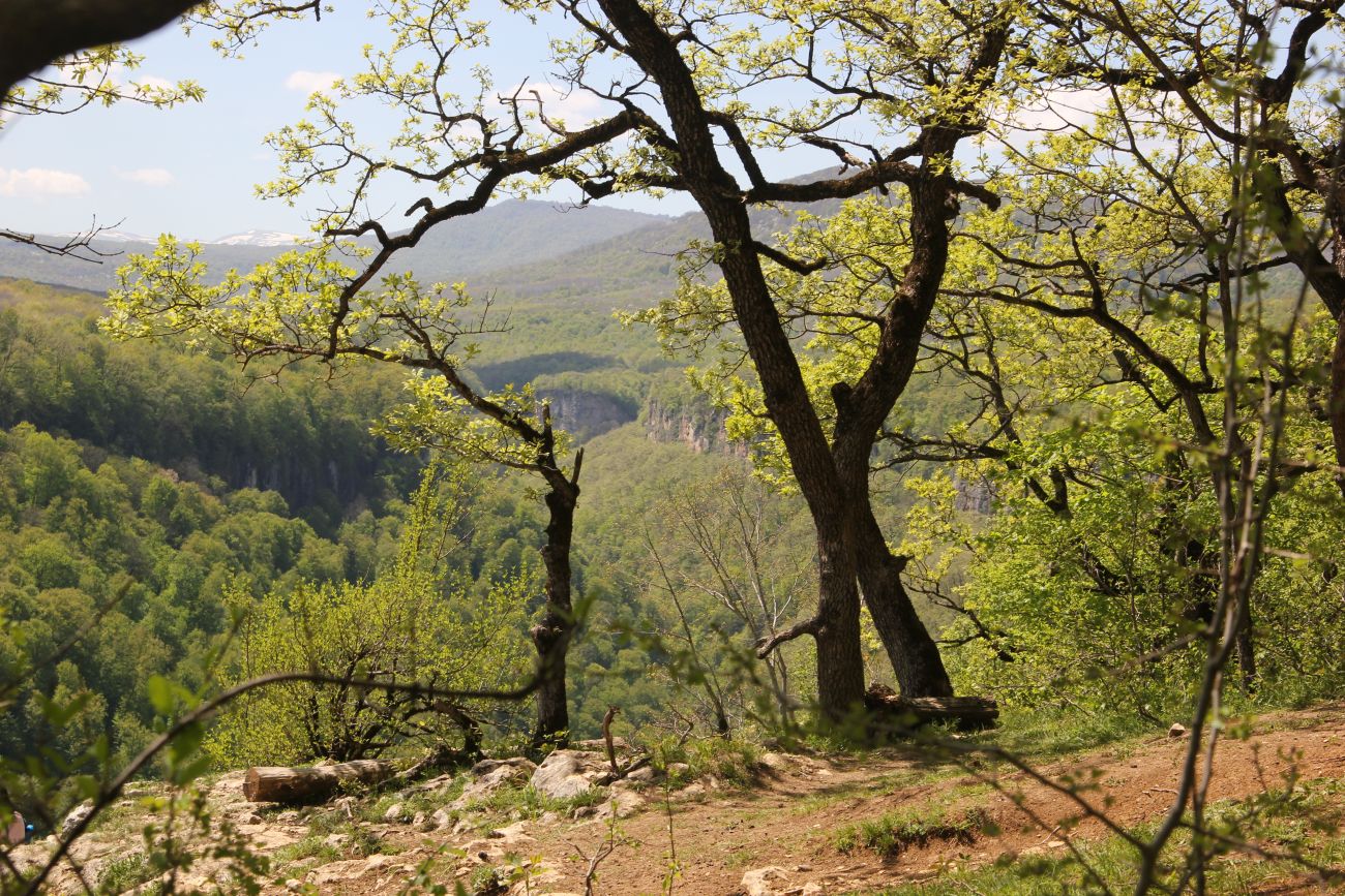 Хребет Уна-Коз, image of landscape/habitat.