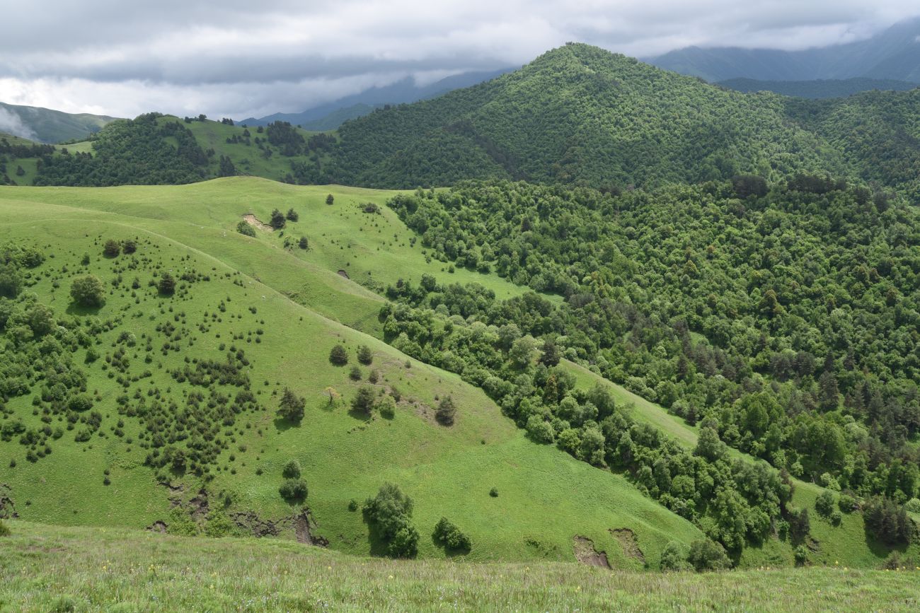 Окрестности урочища Мухул, image of landscape/habitat.