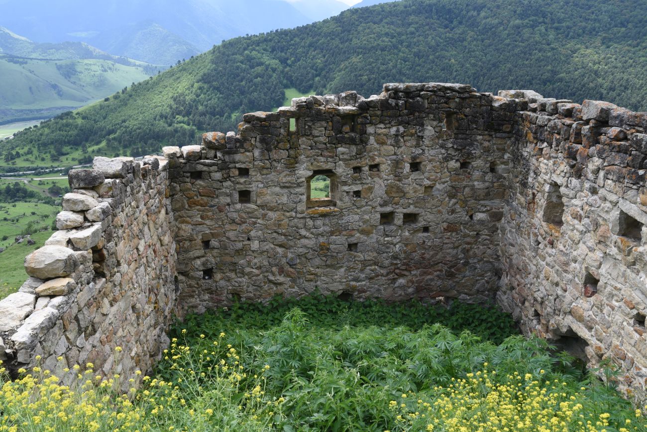 Бархане и окрестности, image of landscape/habitat.