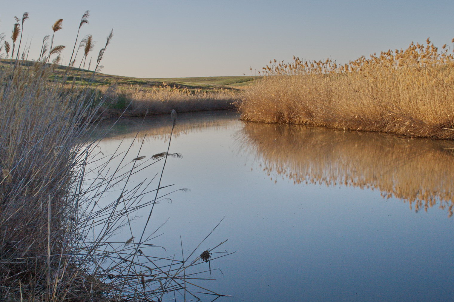 Эльтон, image of landscape/habitat.