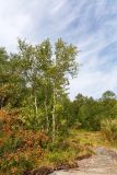 Мурманск, image of landscape/habitat.