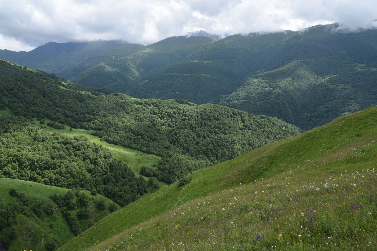 Хиндушты, image of landscape/habitat.