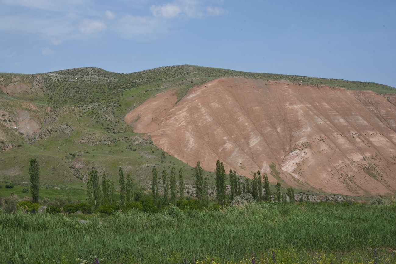 Акчай, image of landscape/habitat.