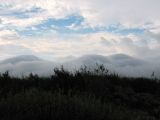 Image of landscape