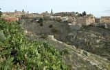 Image of landscape
