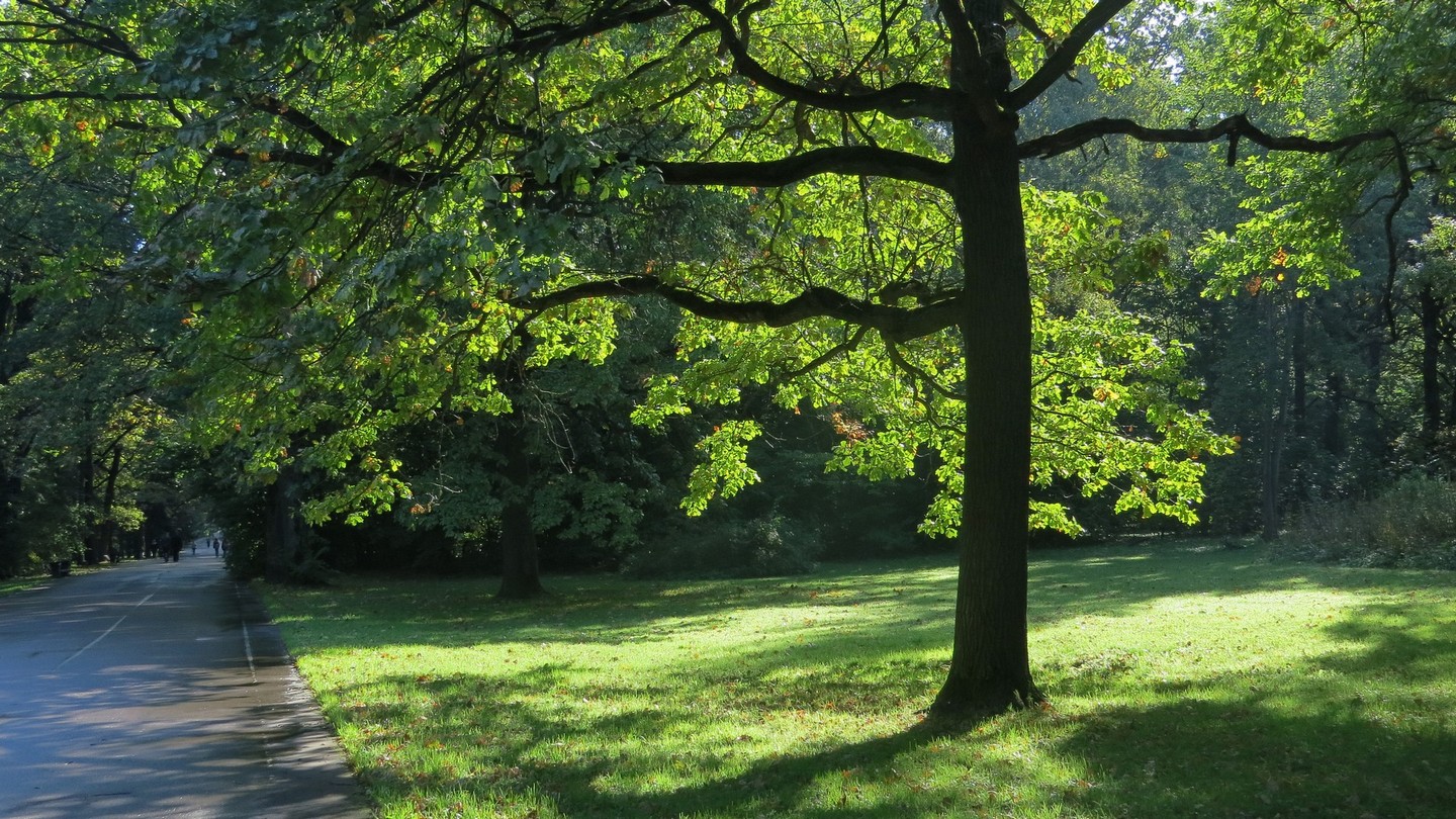 ГБС РАН, image of landscape/habitat.