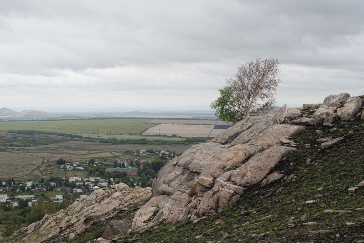 Окрестности села Кожохово, image of landscape/habitat.