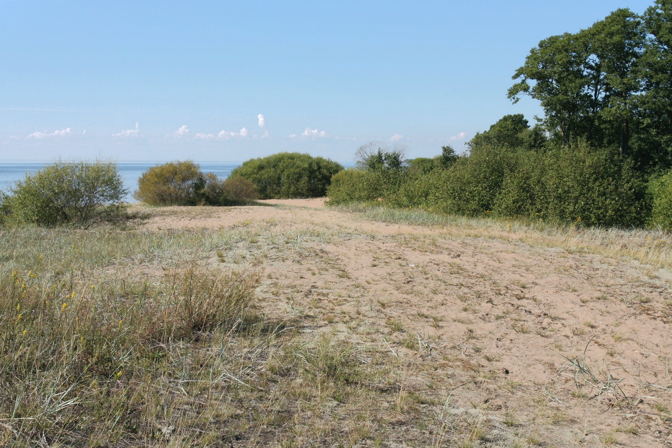 Окрестности Кленно, image of landscape/habitat.