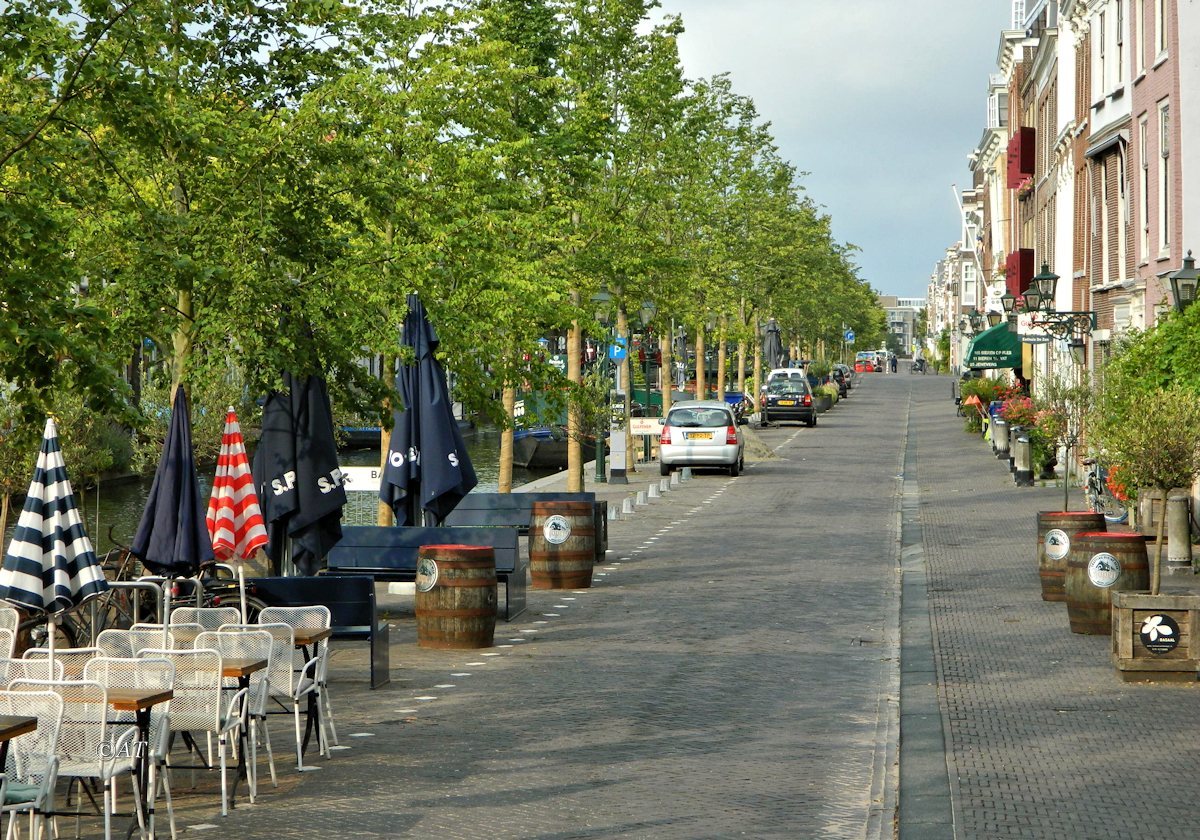 Делфт, image of landscape/habitat.