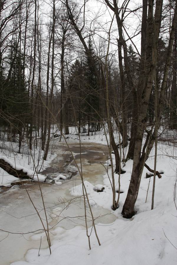 Парк "Сергиевка", image of landscape/habitat.