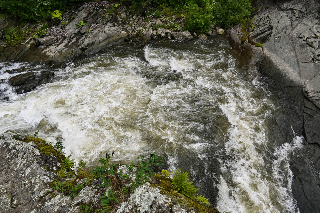 Быковские пороги, image of landscape/habitat.