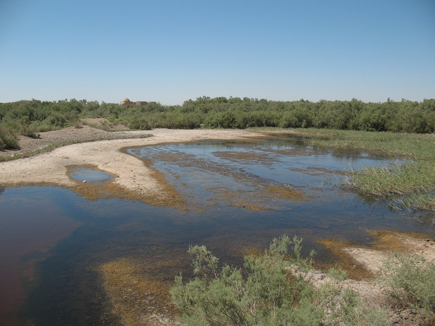 Мервский оазис с пустыней, image of landscape/habitat.