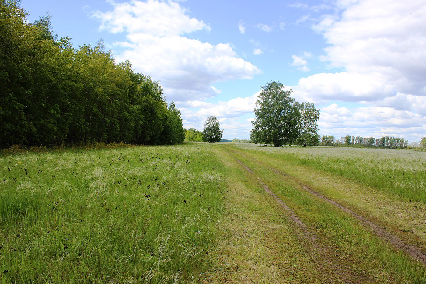 Благодатное, image of landscape/habitat.
