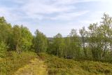 Мурманск, image of landscape/habitat.