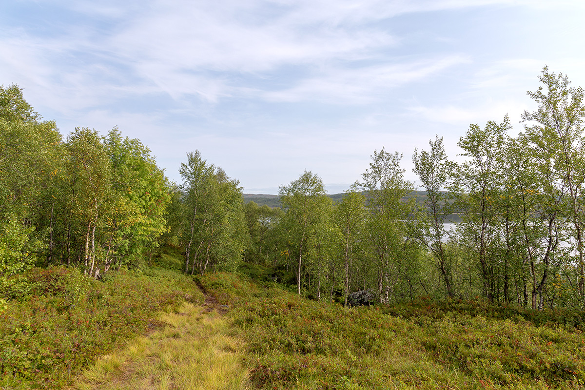 Мурманск, image of landscape/habitat.