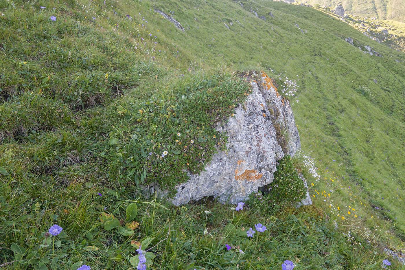 Хазнибаши, image of landscape/habitat.