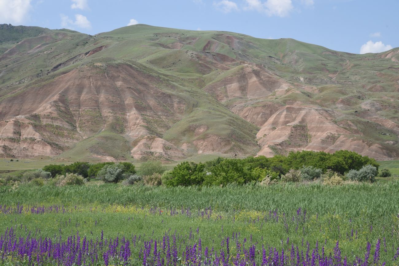 Акчай, image of landscape/habitat.