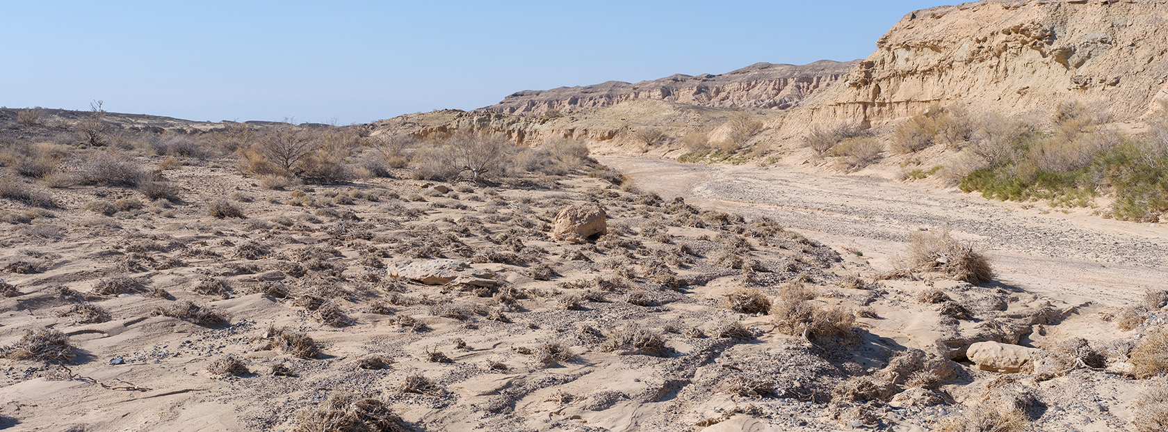 Сарымсакты, image of landscape/habitat.