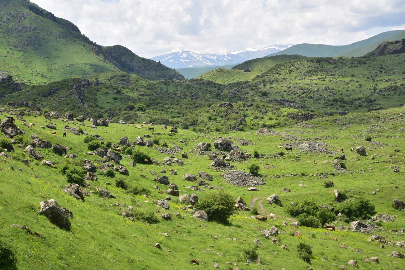 Водопад Чанчкери, image of landscape/habitat.