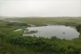 Долина реки Пяйва, image of landscape/habitat.