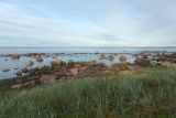 Image of landscape