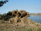 Image of landscape