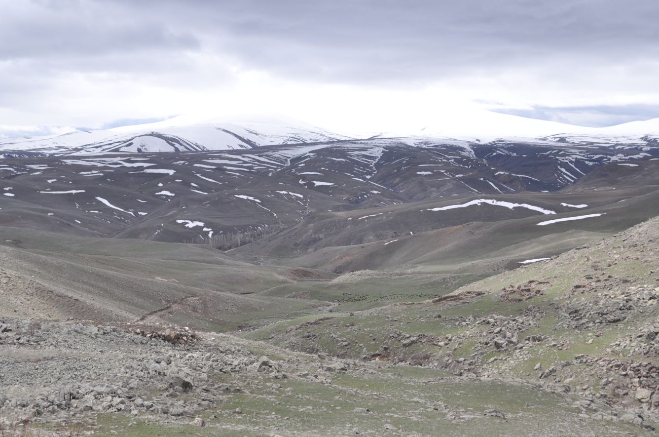 Окрестности села Пасли, image of landscape/habitat.