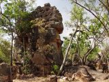 Image of landscape