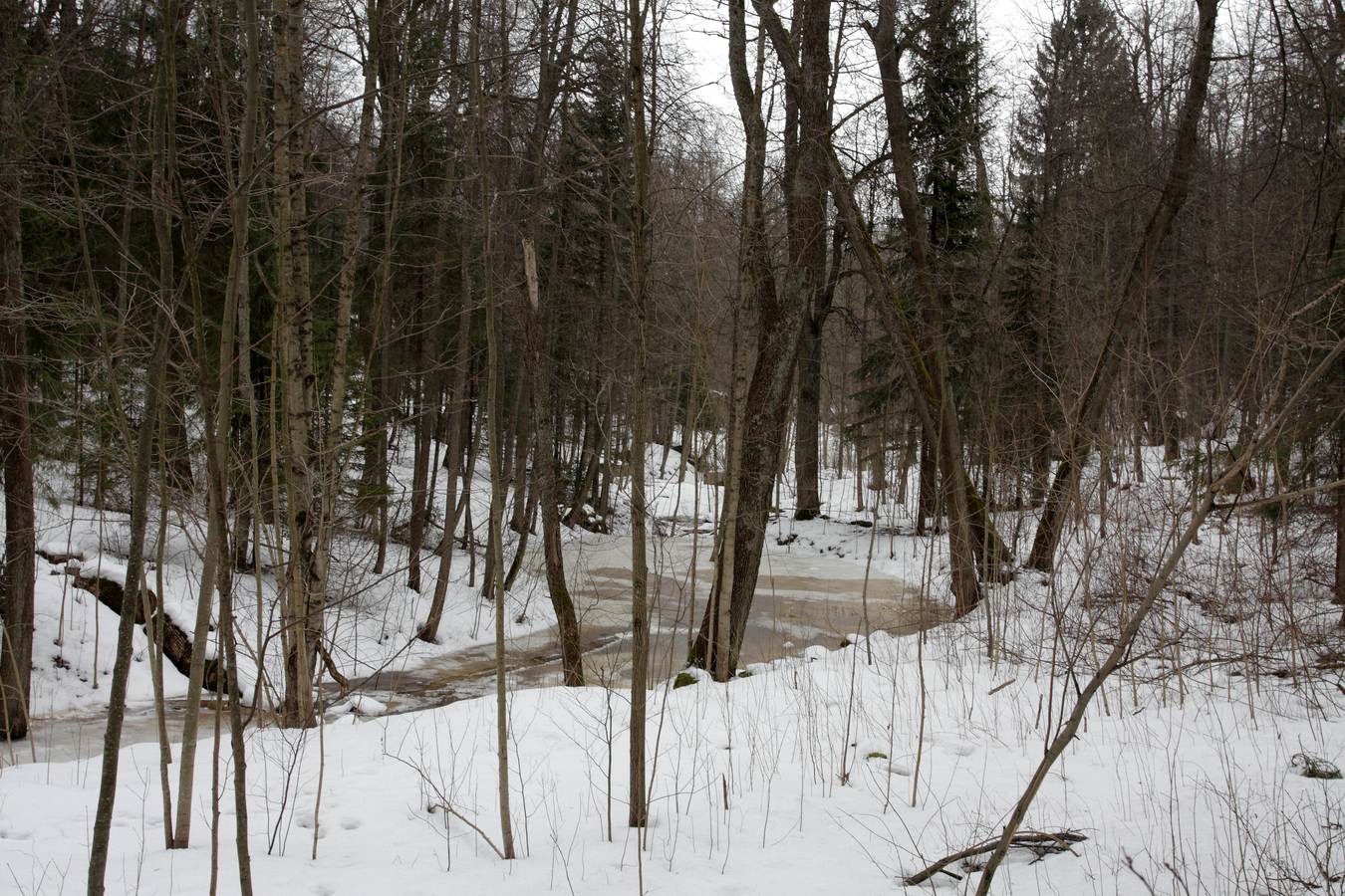 Парк "Сергиевка", image of landscape/habitat.