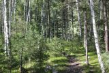 Окрестности реки Казнахта, image of landscape/habitat.