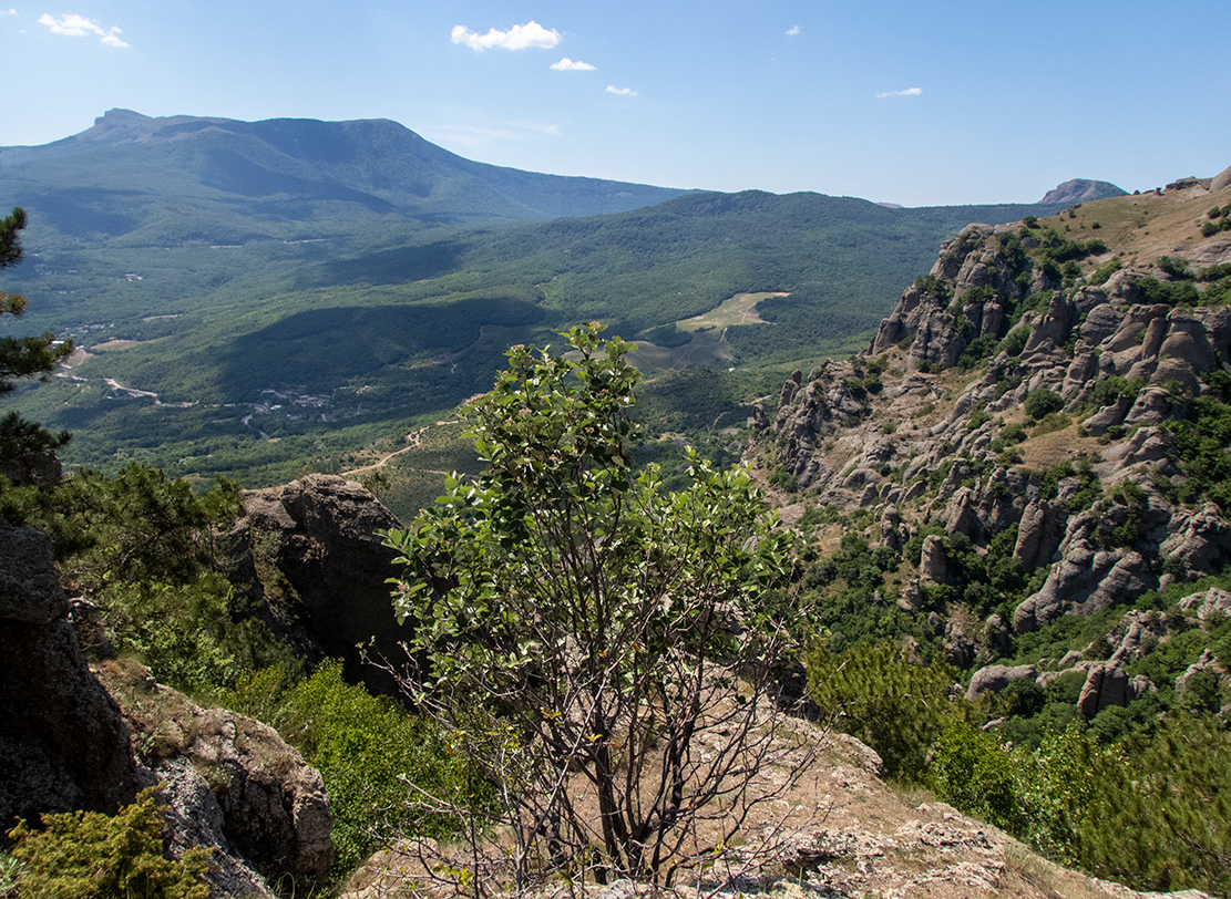 Южная Демерджи, image of landscape/habitat.