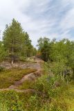 Мурманск, image of landscape/habitat.