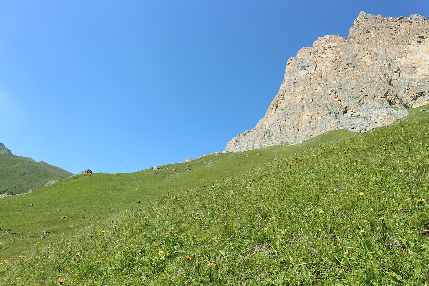 Хазнибаши, image of landscape/habitat.