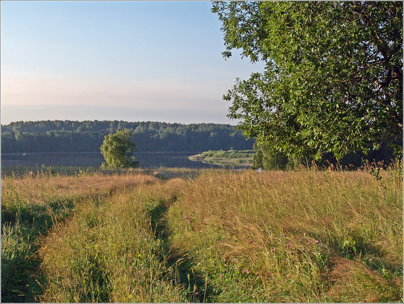 Вазуза, изображение ландшафта.